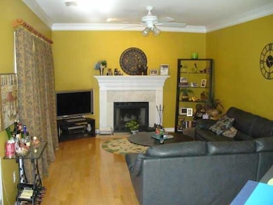 Living area with crown molding, ceiling fan, a fir