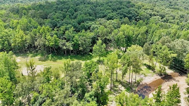 42.83 acres Rose Trail, Melbourne, AR 72556 - photo 2