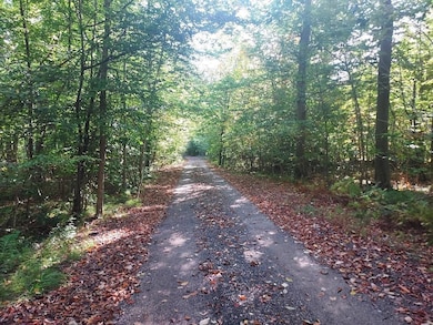 16698 220th Driveway 1