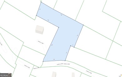 3 ACRES Lewis Ln SW, Eulonia, GA 31331 - photo 7