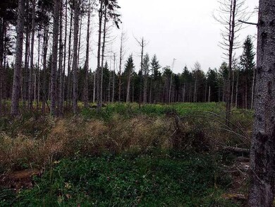 Land.