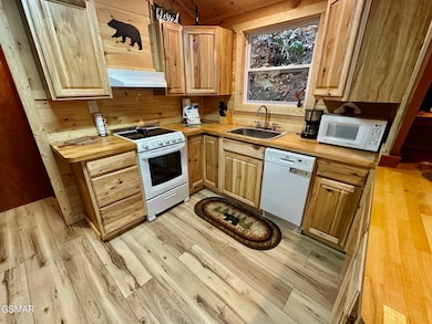 1172 Ski Mountain Rd, Gatlinburg, TN 37738 - photo 6