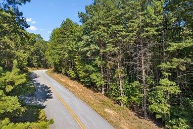 3.99 AC Sweetwater Dr, Clarkesville, GA 30523 - photo 4