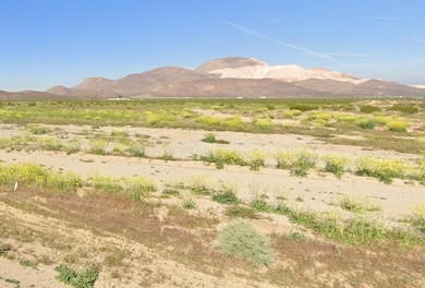 10th St E, Mojave, CA 93501 - photo 3