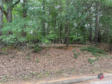 360 Hawthorne Extension, Athens, GA 30606 - photo 6