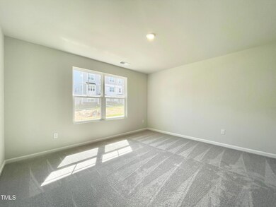 1951 Yellow Bloom Trail, Apex, NC 27502 - photo 4