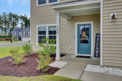 245 Lucca Dr, Summerville, SC 29486 - photo 2