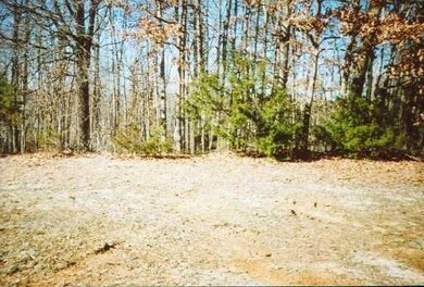 0 Esperson Rd unit 1079216, Rogers, AR 72756 - photo 2