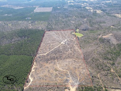 0 Fleming Rd unit 23463492, Vincent, AL 35178 - photo 3