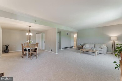 2331 Old Court Rd unit 413, Pikesville, MD 21208 - photo 7