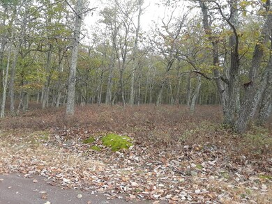 145 & 146 Mountain Top Rd, Lackawaxen Township, PA 18435 - photo 3