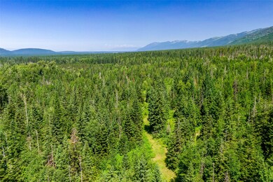 Nhn Orvis Evans Dr unit 35, Bigfork, MT 59911 - photo 7