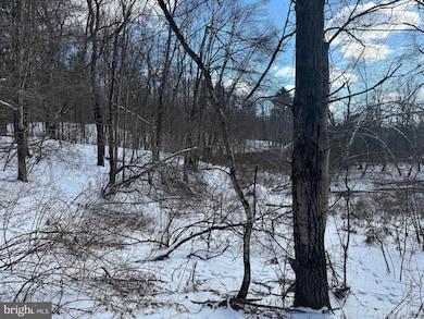 0 River Ct unit PAMR2004516, Pocono Lake, PA 18347 - photo 2