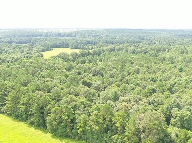 1092 Matthews Rd, Tylertown, MS 39667 - photo 5