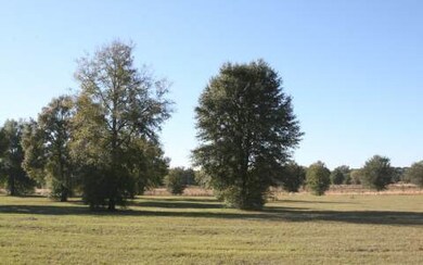 LOT73 Mandiba Dr, Lake City, FL 32024 - photo 3