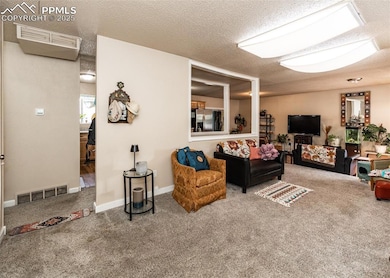 Living room featuring carpet and a textured ceilin