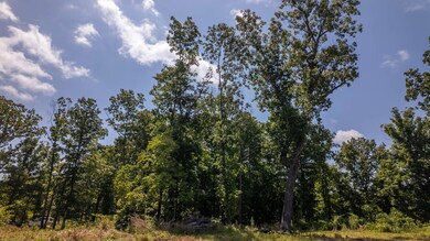 0 Bobcat Ln, Mammoth Spring, AR 72554 - photo 4