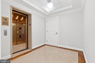 The Ritz-Carlton Residences unit T56, Baltimore, MD 21230 - photo 3