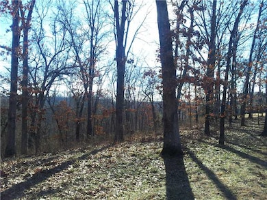 Land/Lot. Ample privacy between you and the neighbors