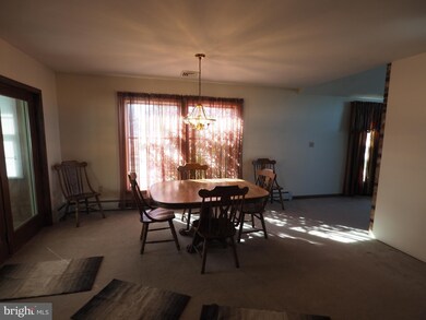 1009 Spring Rd, Andreas, PA 18211 - photo 6