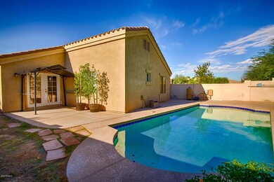 Backyard/Pool