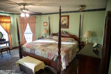 4457 Newton Conehatta Rd, Newton, MS 39345 - photo 2