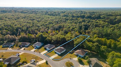 25-web-or-mls-164 Cabana Way Aerial-2-2