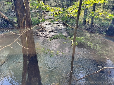 100752 S 4497 Rd, Vian, OK 74962 - photo 6