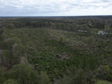 DJI_0735