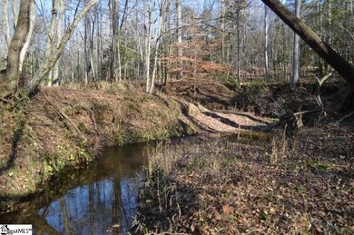 00 Union Hwy, Enoree, SC 29335 - photo 4