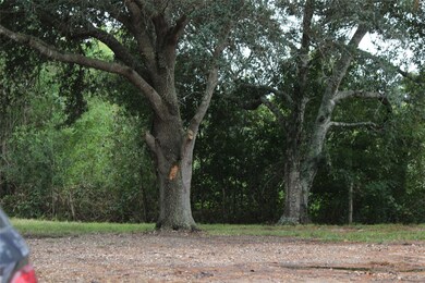 5315 Phillips Dr, Manvel, TX 77578 - photo 2