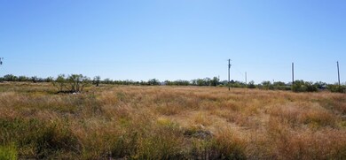 14873 Fm 765 W, San Angelo, TX 76905 - photo 2
