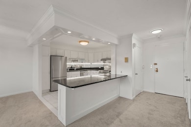 Imperial Towers unit 905, Chestnut Hill, MA 02467 - photo 7