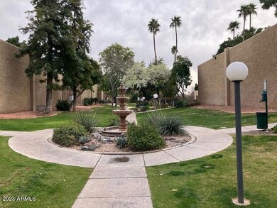Camelback 270 Grounds