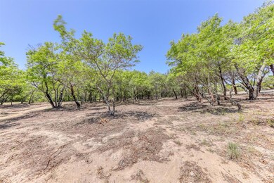 2004 Oak Cliff Ct, Weatherford, TX 76088 - photo 7