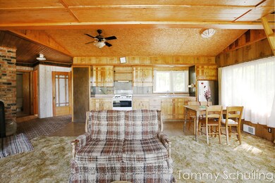 11079 N Pine Grove Ln, Bitely, MI 49309 - photo 2