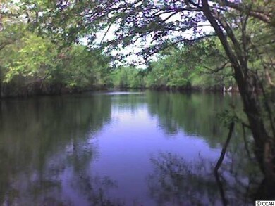 708 Tilly Pine Dr unit Lot 57 Rivers Edge P, Conway, SC 29526 - photo 2