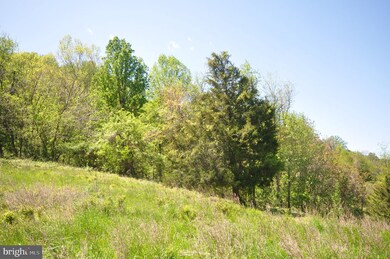 0 Ben Venue Rd unit VARP2000058, Flint Hill, VA 22627 - photo 6