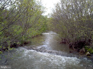 0 Native Trout Ln unit 1003504916, Moyers, WV 26815 - photo 5