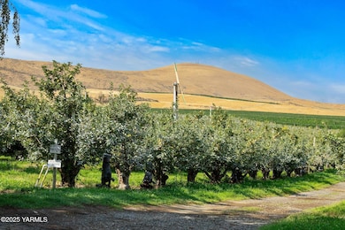 NKA Desmarais Rd, Moxee, WA 98936 - photo 2