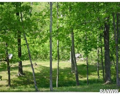 Lot 15 Fremsted Rd, Oakland Township, WI 54830 - photo 4