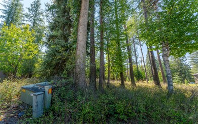 1000 Colorado Ave, Whitefish, MT 59937 - photo 4