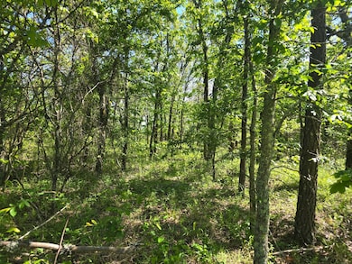 TRACT 40 Trail Ridge Rd, Albion, OK 74571 - photo 2