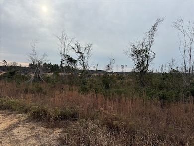 9.22 Rhine Rd, Alma, GA 31510 - photo 6