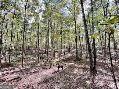 8827 Estes Rd, Macon, GA 31220 - photo 2