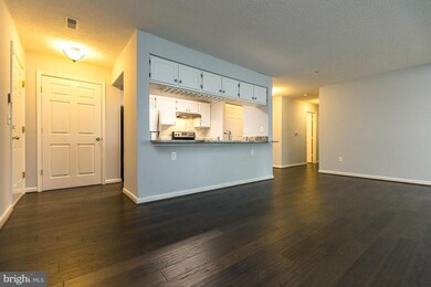 2603 Camelback Ln unit 3, Silver Spring, MD 20906 - photo 3