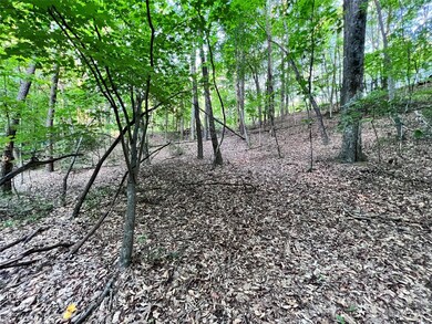 000 Hawks Terrace, Lake Lure, NC 28746 - photo 5