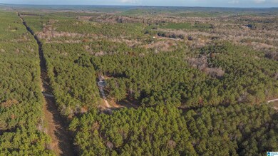 14304 Hargrove Rd E, Cottondale, AL 35453 - photo 7