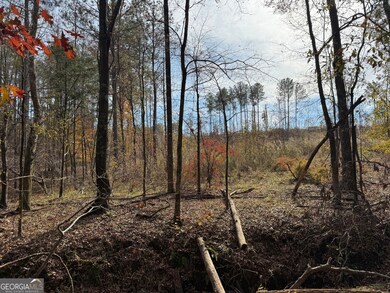 0 Old Middleton Rd unit 10651016, Elberton, GA 30635 - photo 3