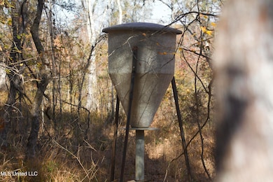 0 County Road 115, Carrollton, MS 38917 - photo 3